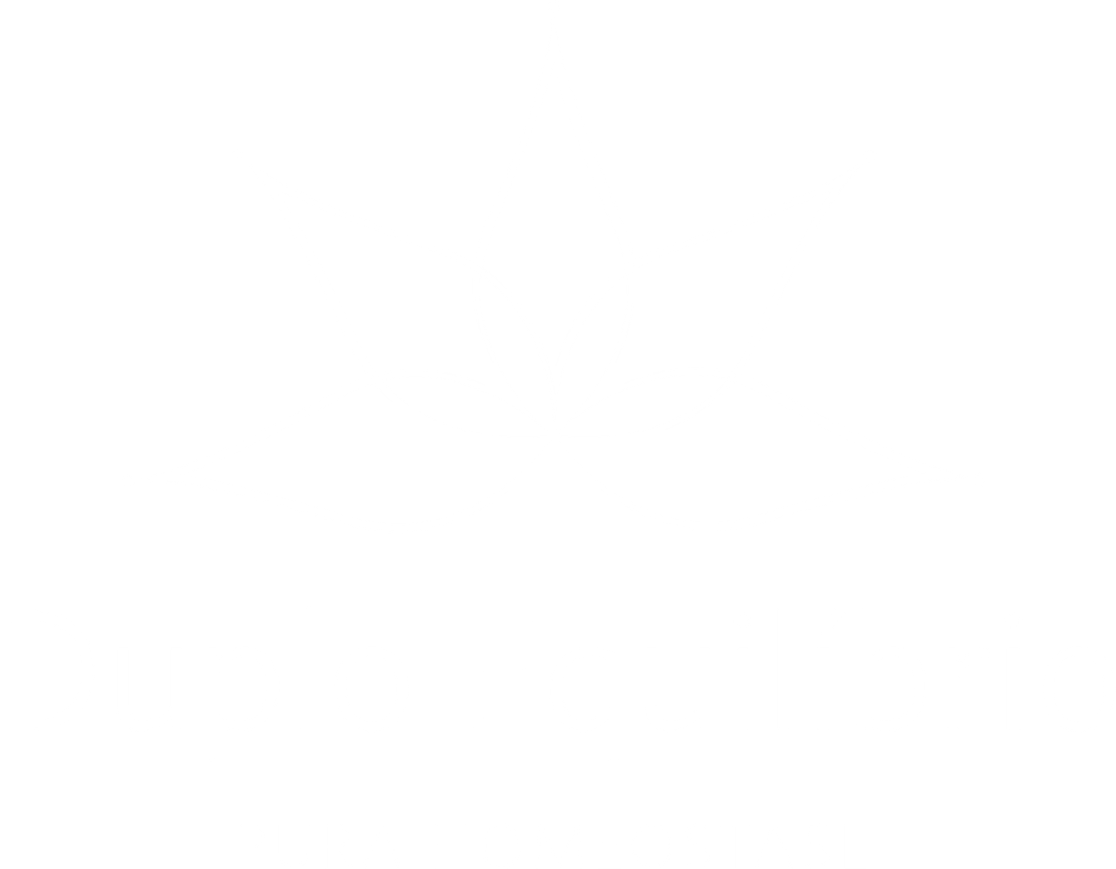 logo light